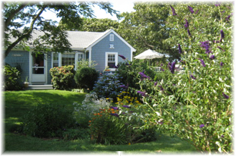 Full Garden View